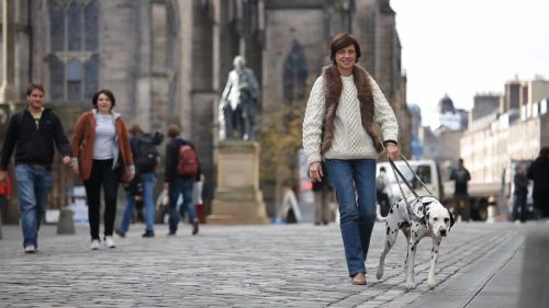 cane guida per non vedenti