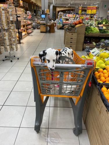 Concorso2025 43