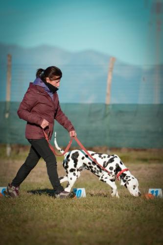 Concorso2025 63