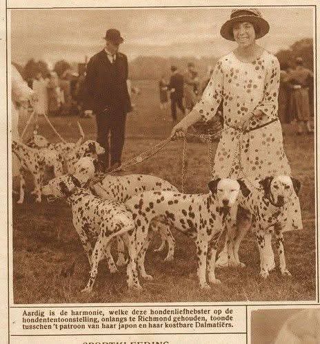 gruppo di dalmata expò di un tempo