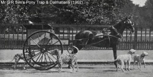 pronti-alla-partenza