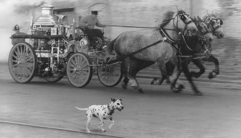 scorta-ai-pompieri-in-emergenza